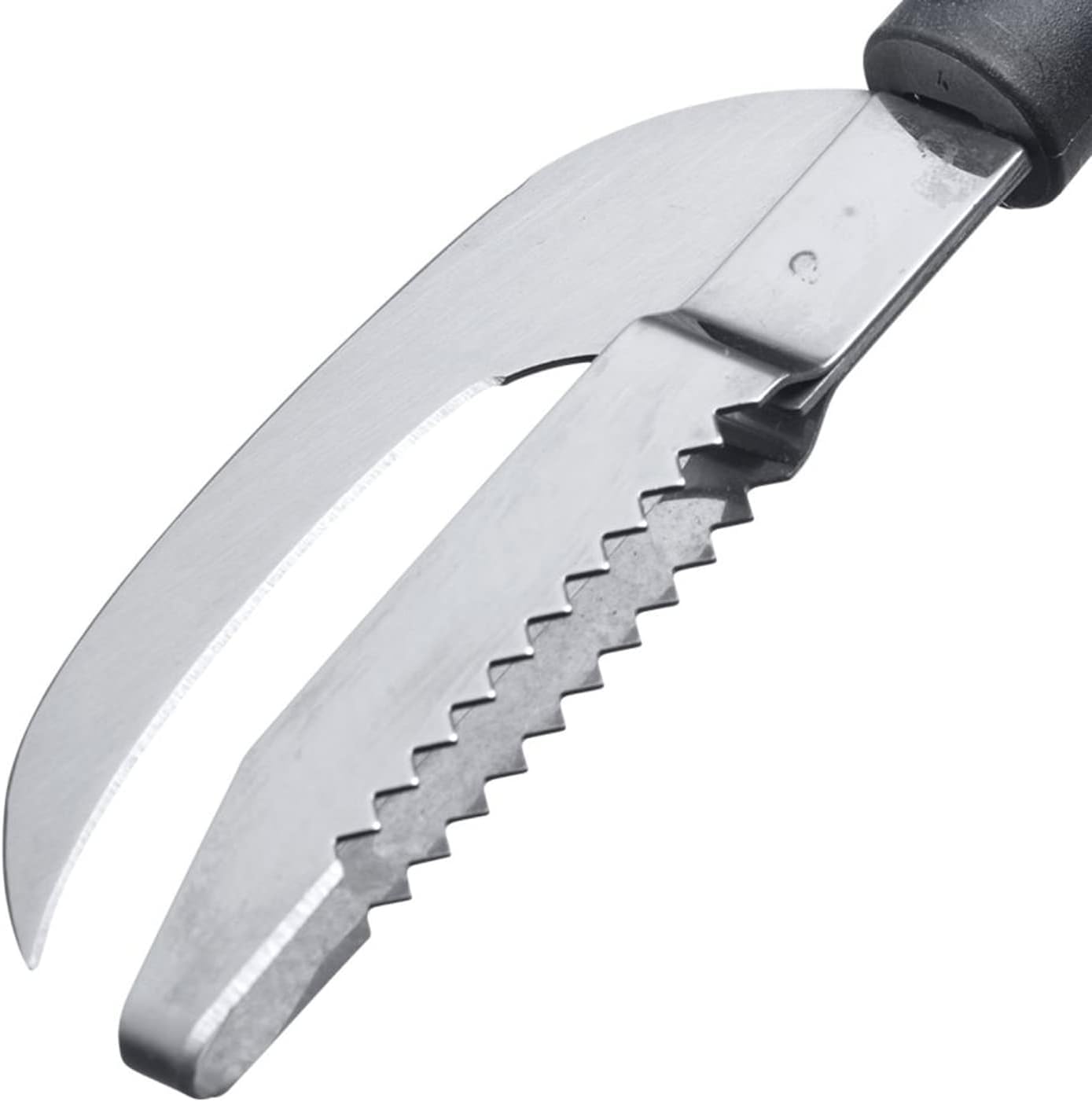westmark-gallant-outil-poisson-2-en-1-couteau-et-cailleur-plastique-acier-inoxyd image 4