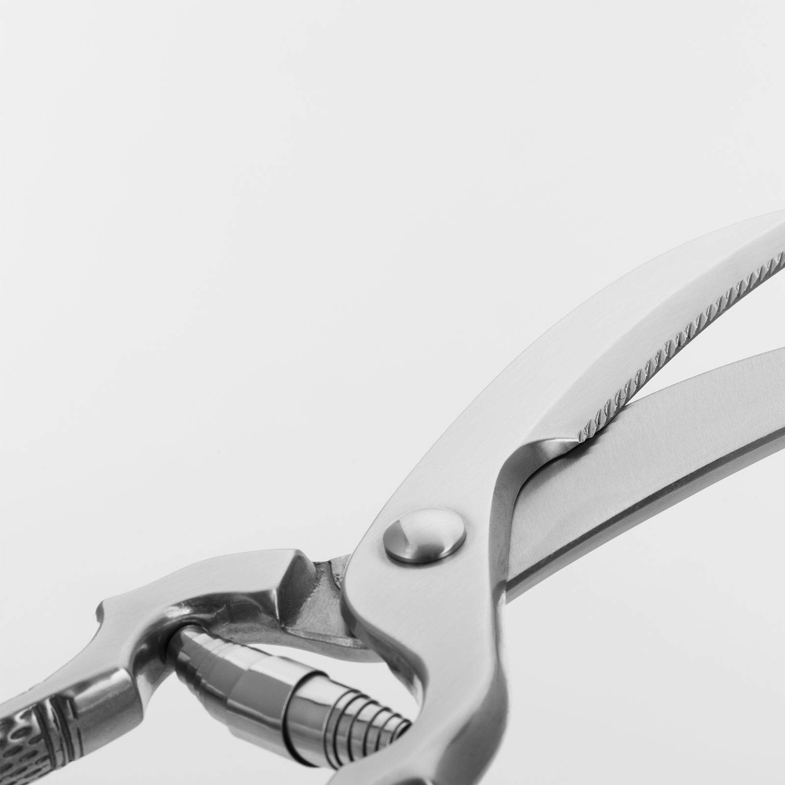westmark-classic-13712260-ciseaux-volaille-m-canisme-ressort-lames-inox-dentel-e image 3