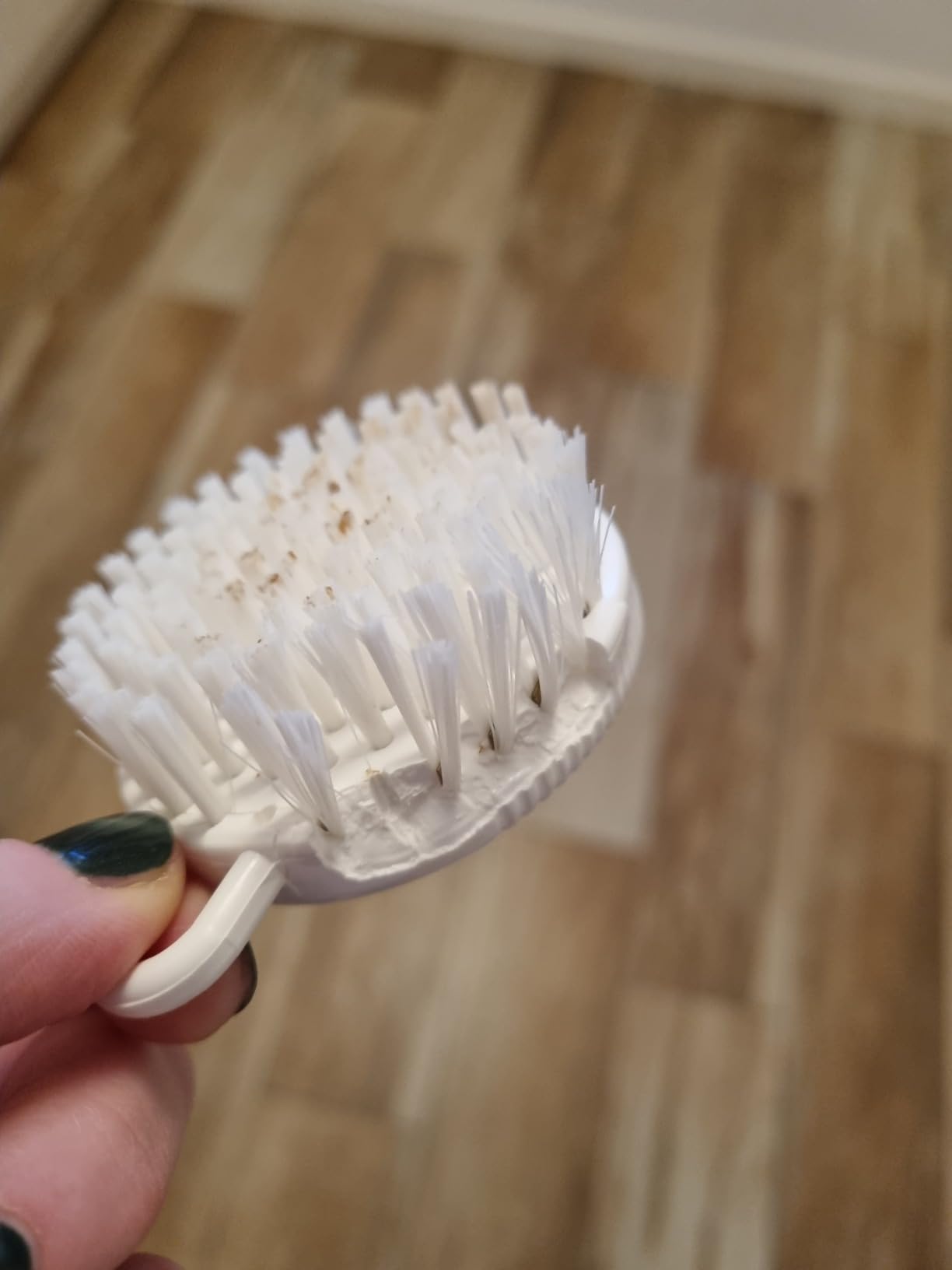Parfaite pour les cèpes