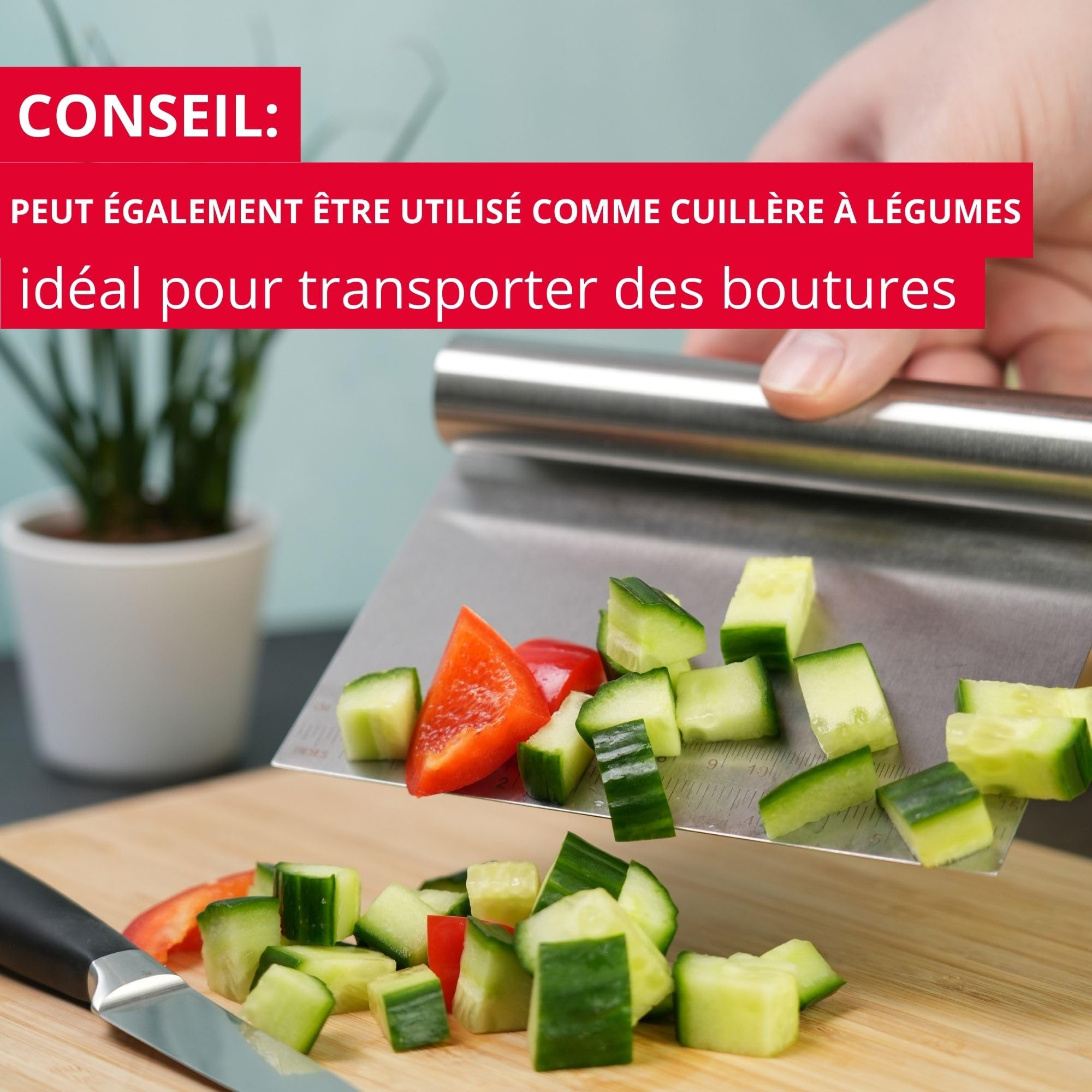 westmark-carte-p-te-avec-chelle-spatule-p-te-en-acier-inoxydable-pour-d-coupe-po image 8