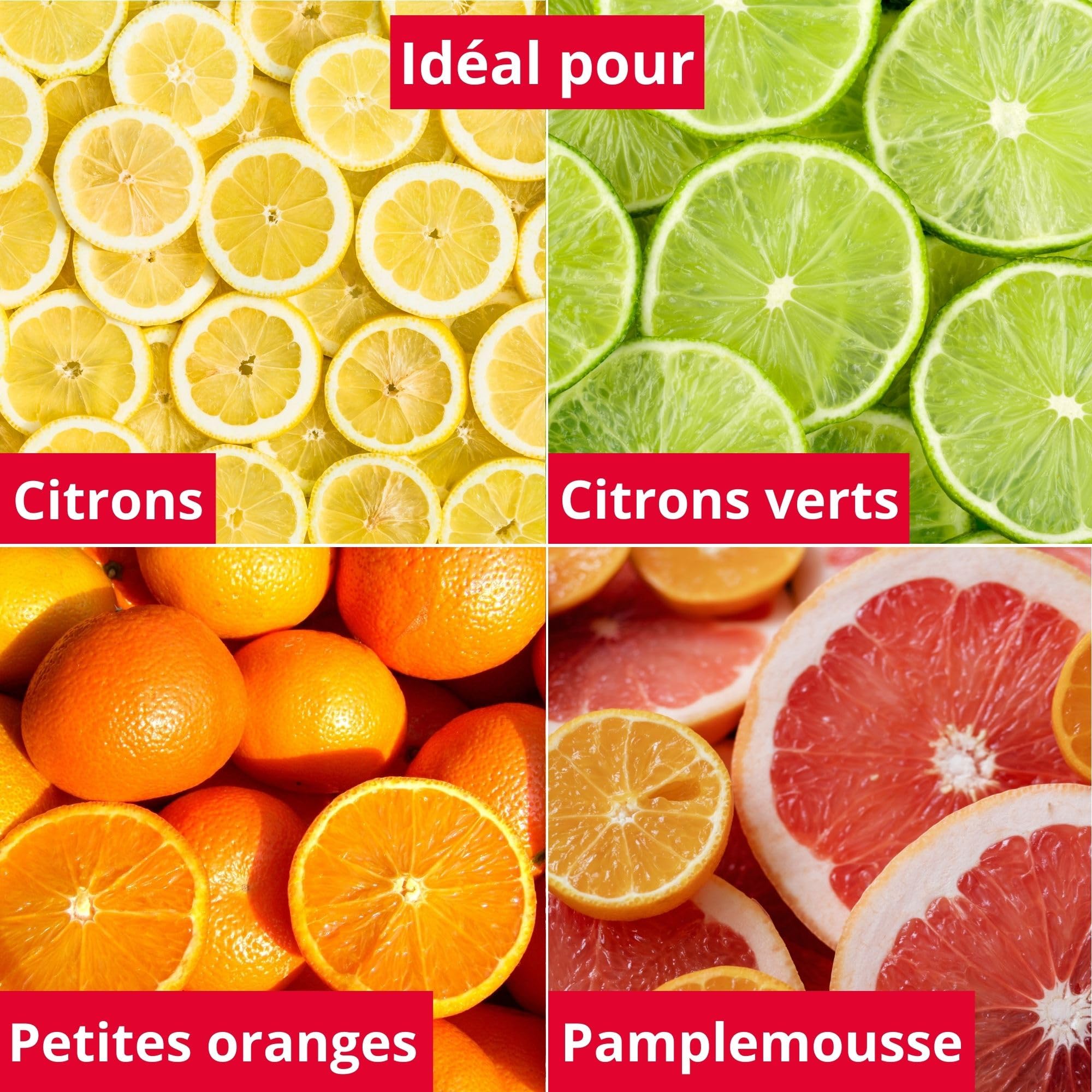 westmark-presse-agrumes-et-orange-en-verre-250-ml-transparent-30822260 image 4