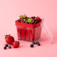 chef-n-bramble-panier-baies-empilable-qui-sert-d-gouttoir-pour-rincer-conserver- image 2
