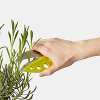 chef-n-looseleaf-plus-effeuilleur-de-chou-kale-et-l-gumes-feuillus-avec-ciseaux- image 3