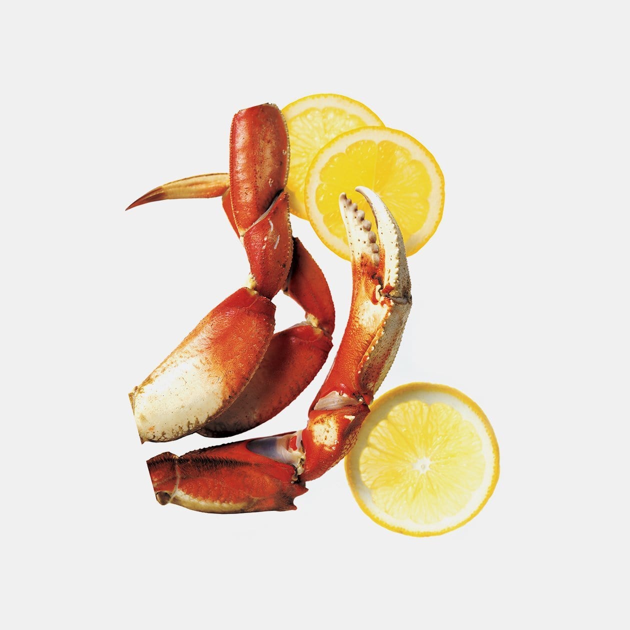 chef-n-wisecracker-casse-crabe-casse-crustac-s-manche-squeeze-pour-ouvrir-carapa image 5